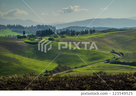 Picturesque rolling hills with farmhouse and trees under soft sunlight 123549525