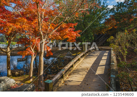 Autumn foliage at Hamamatsu Castle Park in Hamamatsu City (Shizuoka Prefecture) 123549600