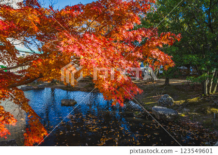 Autumn foliage at Hamamatsu Castle Park in Hamamatsu City (Shizuoka Prefecture) 123549601
