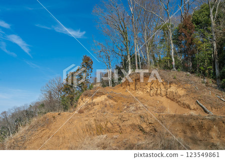 坡地危樹調查 坡地危樹調查 123549861