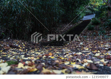 [Scenery of Shonai] Mt. Chokai Omonoki Shrine and autumn leaves (Warabiokaguchinomiya) 123549977