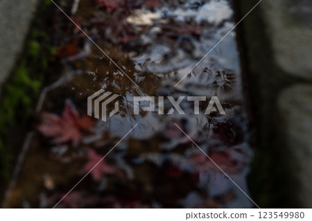 [Scenery of Shonai] Mt. Chokai Omonoki Shrine and autumn leaves (Warabiokaguchinomiya) 123549980