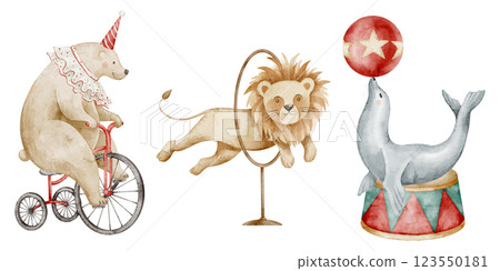 Watercolor illustration of Circus animals. Drawing of bear on a tricycle, a lion jumping through a hoop, and a seal balancing on a ball. Art for childish posters or Baby shower greeting cards. 123550181