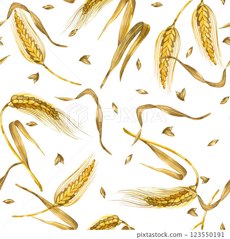 Seamless watercolor pattern. Wheat ears, ripe wheat grains hand painted in watercolor and isolated on white background. Suitable for printing on fabric, kitchen textiles, scrapbooking. 123550191