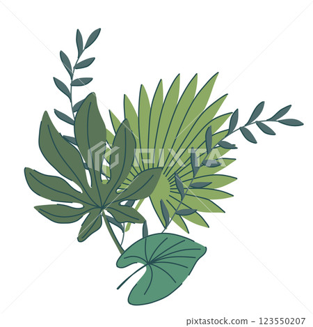 tropical green leaves set. monstera, palm, fern, ivy in various shapes and sizes. simple flat style. Vector illustration. Perfect for prints, packaging, invitations, branding, backgrounds, textile tropical green leaves set. monstera, palm, fern, ivy in various shapes and sizes. simple flat style. Vector illustration. Perfect for prints, packaging, invitations, branding, backgrounds, textile 123550207