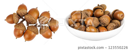 Brown acorn oak nut in ceramic bowl isolated on white background. Top view. Flat lay 123550226