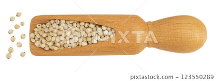 Sorghum seeds in wooden scoop isolated on white background. Top view. Flat lay. 123550289