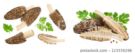 raw morel mushroom isolated on white background with full depth of field. Top view. Flat lay. 123550296