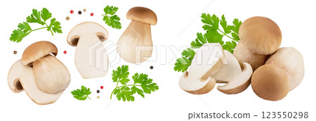 Fresh porcini cep mushroom isolated on white background. Top view. Flat lay 123550298