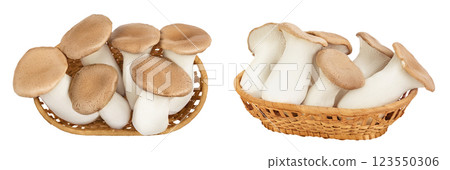 King Oyster mushroom or Eringi in wicker basket isolated on white background . Top view. Flat lay 123550306
