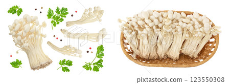 Enoki mushroom, Golden needle mushroom in a wicker basket isolated in white background with full depth of field. Enoki mushroom, Golden needle mushroom in a wicker basket isolated in white background with full depth of field. 123550308