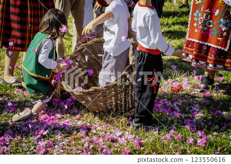 Rosa damascena.. Children in traditional Bulgarian folk costumes playing with pink rose petals during the Rose Festival, annual rose harvest festival. Joyful cultural celebration in nature Rosa damascena.. Children in traditional Bulgarian folk costumes playing with pink rose petals during the Rose Festival, annual rose harvest festival. Joyful cultural celebration in nature 123550616