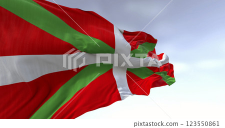 Detail of the Basque Country flag waving in the wind Detail of the Basque Country flag waving in the wind 123550861
