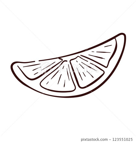 Lemon slice in line art style. Simple hand drawn citrus fruit illustration for botanical, menu, package, culinary and decorative design. Isolated on a white background. Lemon slice in line art style. Simple hand drawn citrus fruit illustration for botanical, menu, package, culinary and decorative design. Isolated on a white background. 123551025