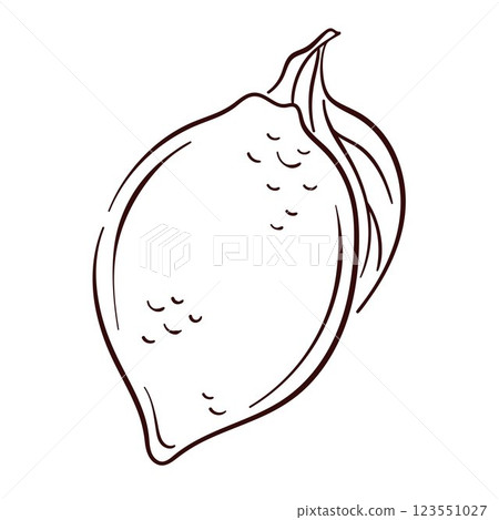 Whole lemon with leaf in line art style. Outline illustration for botanical design, food packaging and summer beverage menu. Isolated on a white background. 123551027