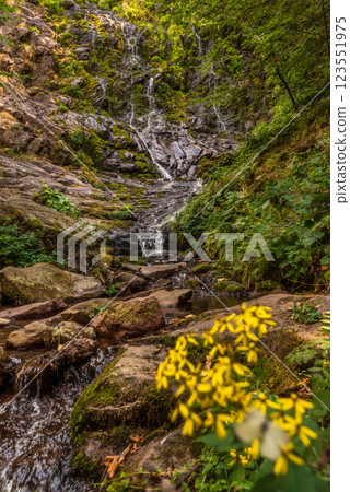 Pilj Cascade Waterfall in Lush Green Forest Pilj Cascade Waterfall in Lush Green Forest 123551975