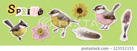 Spring Flowers, titmouse, feather halftone art collage cut outs set. Paper clipping shapes, spring floral stickers, torn paper. Modern retro grunge mixed media vector illustration 123552153