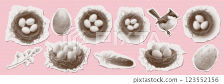 Nests with eggs torn out paper stickers set with halftone effect. Collage elements collection with cut out shapes - titmouse, feather, branch. Vector retro illustration. 123552156