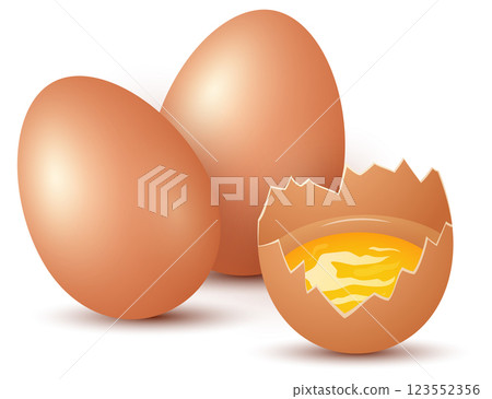 illustration of Chicken Eggs on white background 123552356
