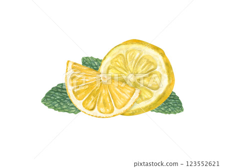 Two yellow .lemon slices with green mint leaves watercolor illustration. Ripe citrus fruit pieces and peppermint. Food elements for card design, menu, celebration design, cocktail party 123552621