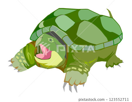 A snake turtle 123552711