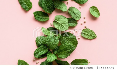 Mint leaves form a lush green background, perfect for evoking freshness and natural elements in culinary or artistic contexts 123553225