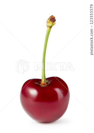 Cherry on white background 123553379
