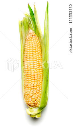 corn cob on white 123553380