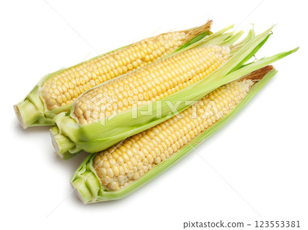 corn cob on white corn cob on white 123553381