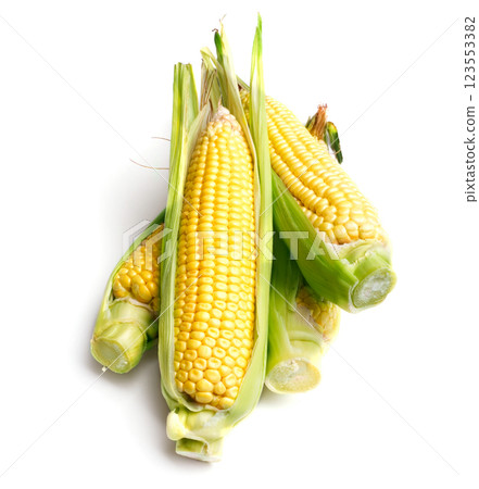 corn cob on white corn cob on white 123553382