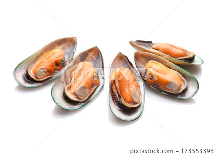 Green shell mussels on white background Green shell mussels on white background 123553393