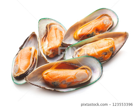 Green shell mussels on white background Green shell mussels on white background 123553396