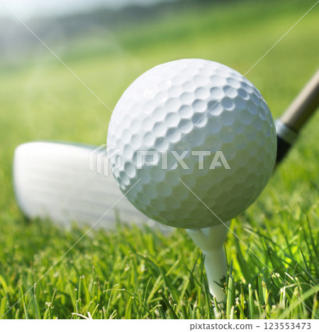 Golf club and ball Golf club and ball 123553473
