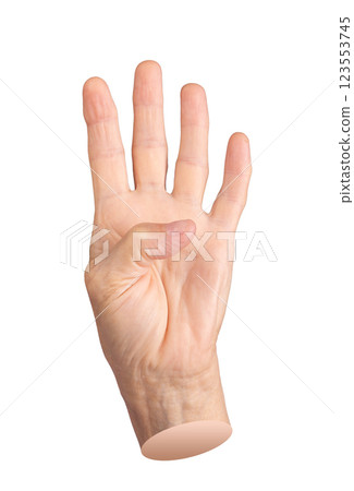 Older woman showing four with hand gesture. Aged, wrinkled fingers raised in front position, palm 123553745