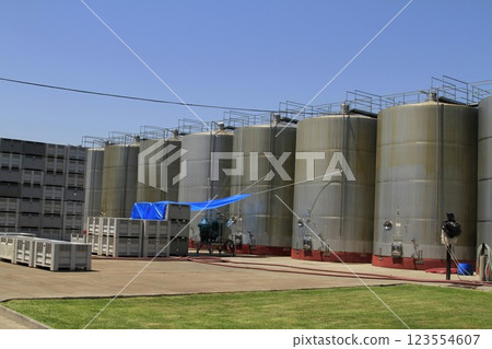 Winery at Santa Cruz Chile 123554607