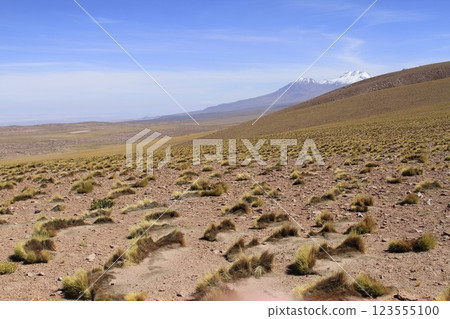 Salar de Atacma Chile 123555100