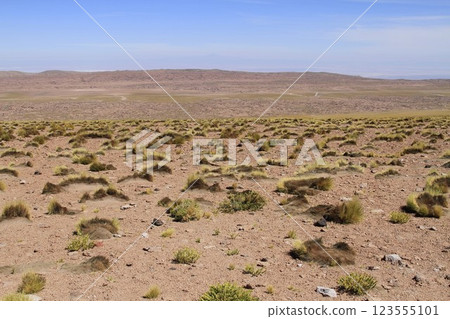 Salar de Atacma Chile 123555101