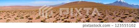 Salar de Atacma Chile 123555102