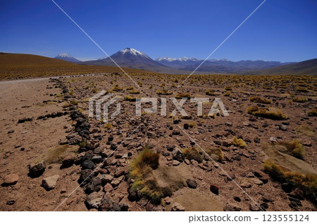 Salar de Atacma Chile 123555124