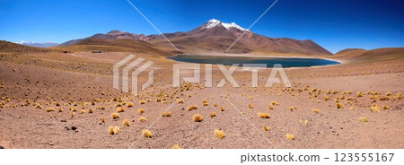 Salar de Atacma Chile 123555167