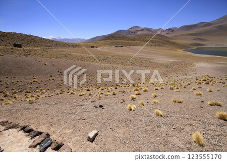 Salar de Atacma Chile 123555170