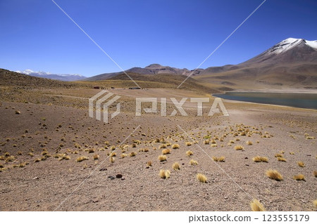 Salar de Atacma Chile 123555179