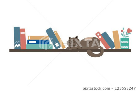 Book shelves. Books, cat and tea on the rack. Interior design. Vector flat illustration. 123555247