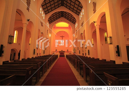 Cathedral in Talca Cathedral in Talca 123555285
