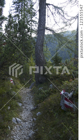 Karwendel mountains on Karwendel Hohenweg, Austria 123555547