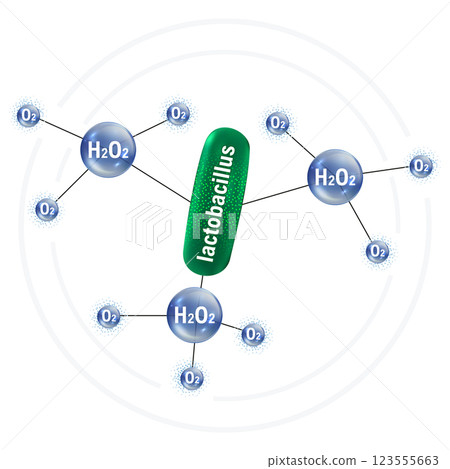 Illustration of the process of hydrogen peroxide production by lactobacilli 123555663