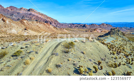 Aerial of Rugged Desert Terrain with Winding Path in Nevada Aerial of Rugged Desert Terrain with Winding Path in Nevada 123556977