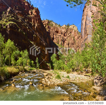 Zion National Park River and Red Rock Cliffs in Motion Panorama Zion National Park River and Red Rock Cliffs in Motion Panorama 123556989