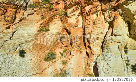 Aerial of Sandstone Cliff Layers Zion National Park 123557056