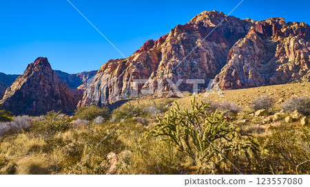 Aerial of Red Rock Canyon Nevada Desert Wilderness 123557080